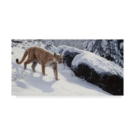 Trademark Fine Art Ron Parker 'Soft Snow Cougar' Canvas Art, 10x19 ALI32288-C1019GG